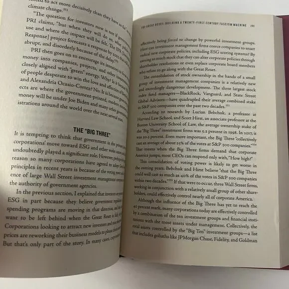 The Great Reset - Picture 3 of 6